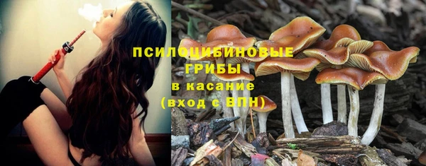 экстази Бородино