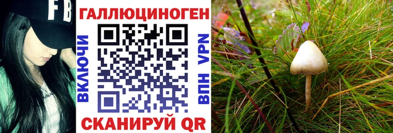 Псилоцибиновые грибы GOLDEN TEACHER  Жердевка 